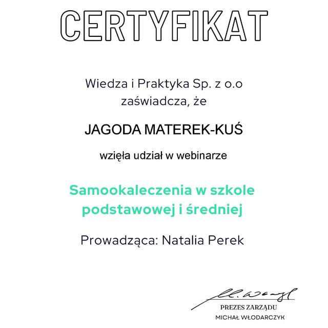 Powiększ obraz: certificate 7