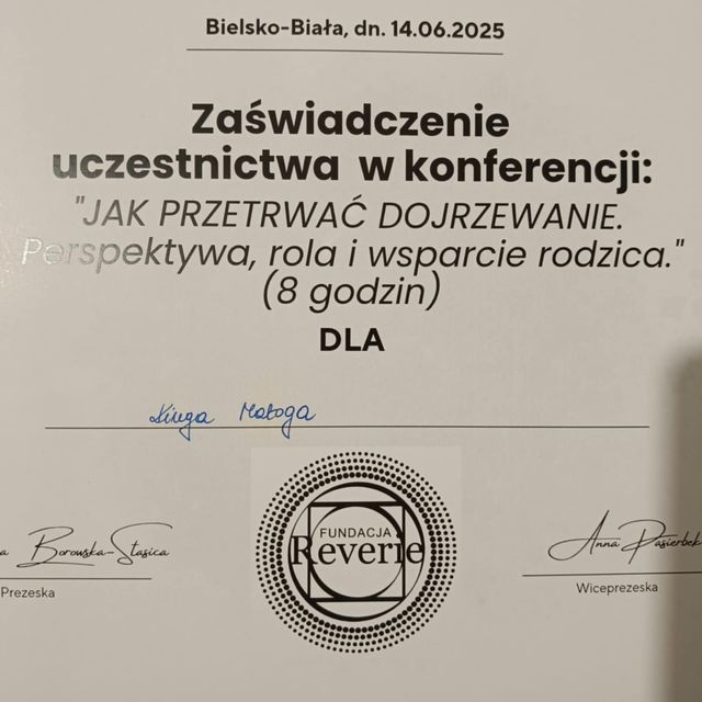 Powiększ obraz: certificate 11
