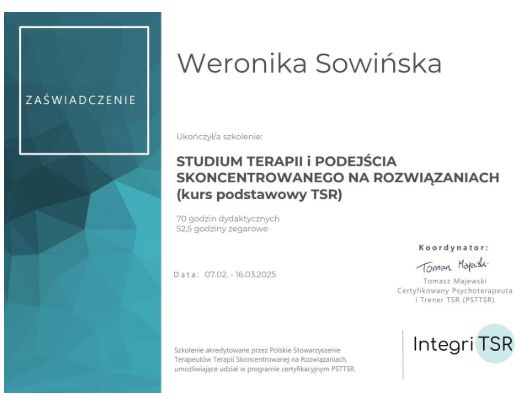 Powiększ obraz: certificate 1