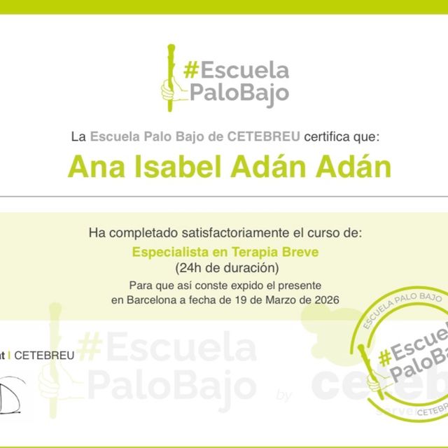 Acercar imagen: certificate 24