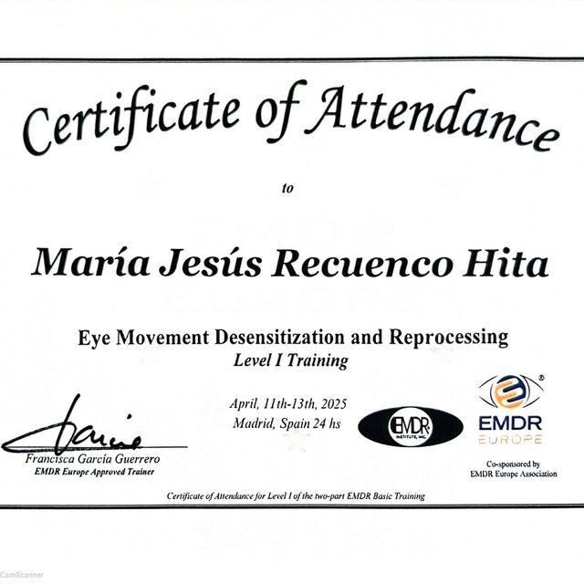 Acercar imagen: certificate 15