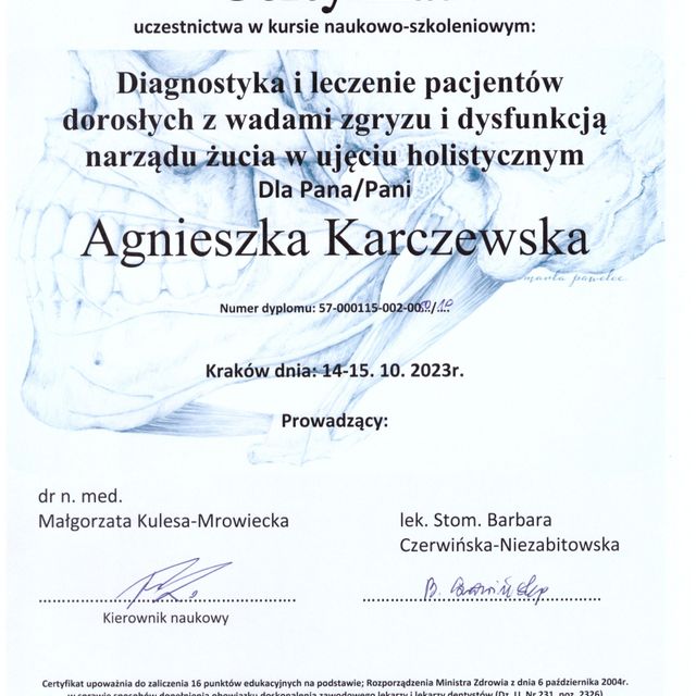 Powiększ obraz: certificate 2