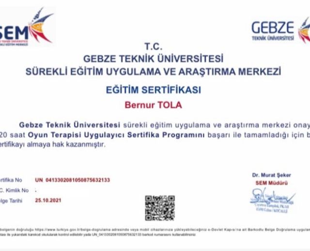 Resmi büyüt: certificate 14