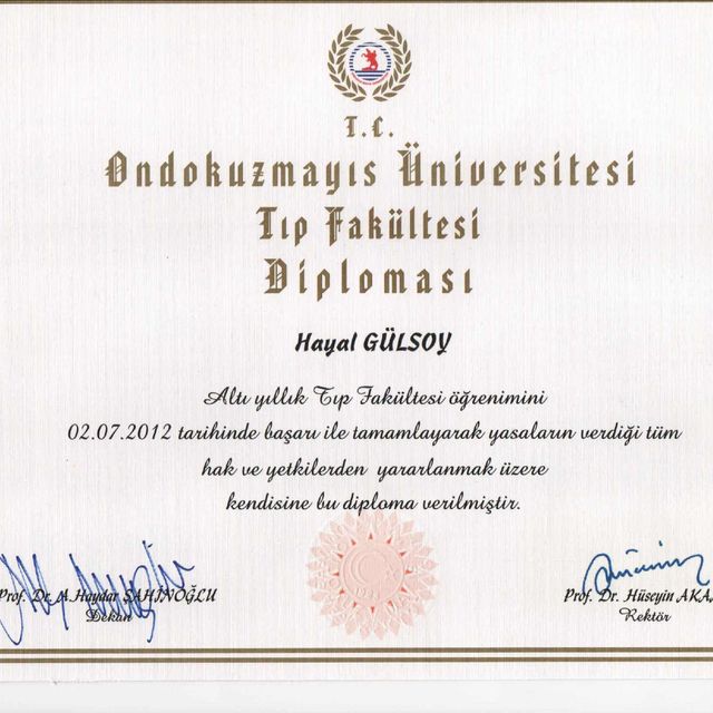 Resmi büyüt: certificate 1