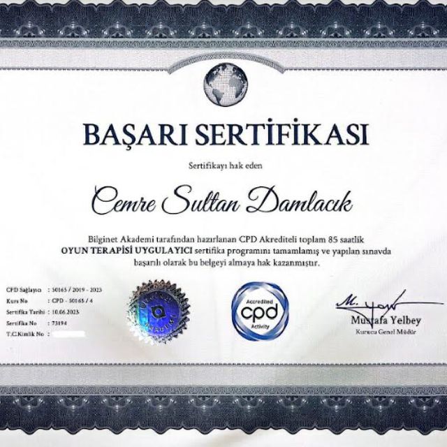 Resmi büyüt: certificate 6