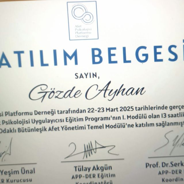 Resmi büyüt: certificate 8