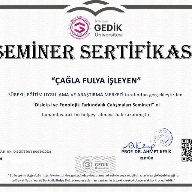 Resmi büyüt: certificate 19