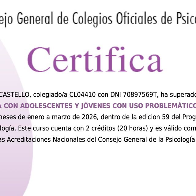 Acercar imagen: certificate 13