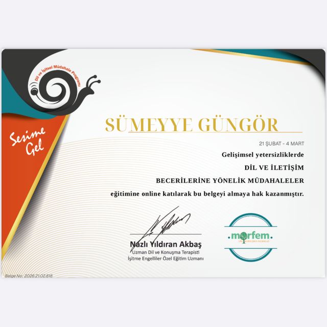 Resmi büyüt: certificate 3