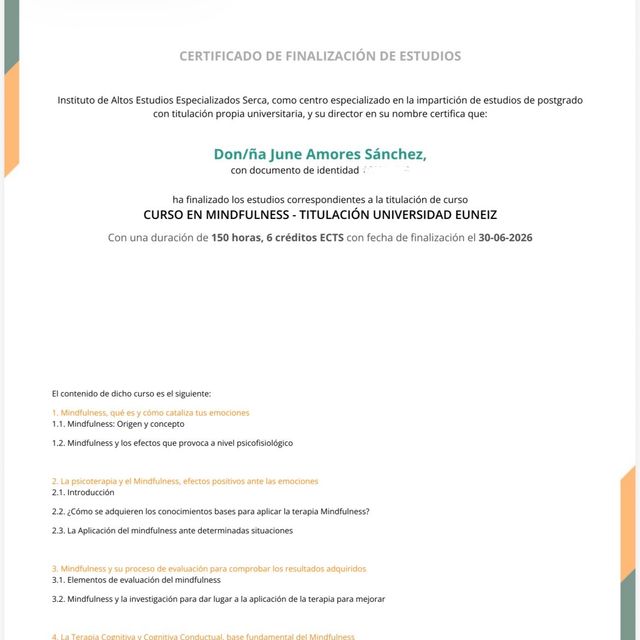 Acercar imagen: certificate 4