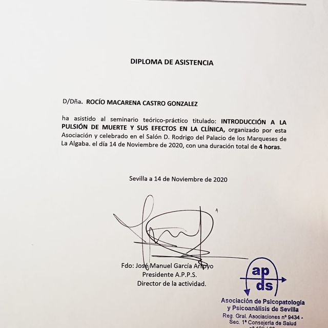 Acercar imagen: certificate 9