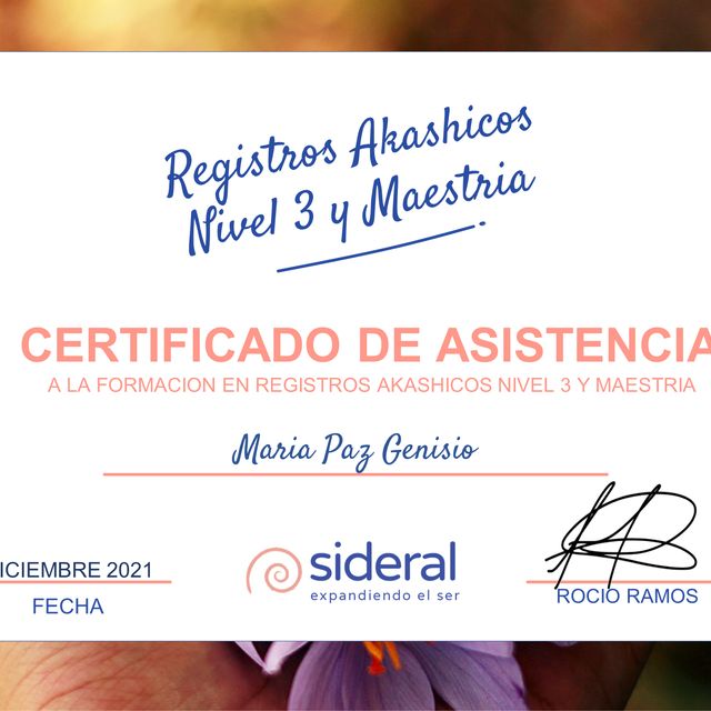 Acercar imagen: certificate 2