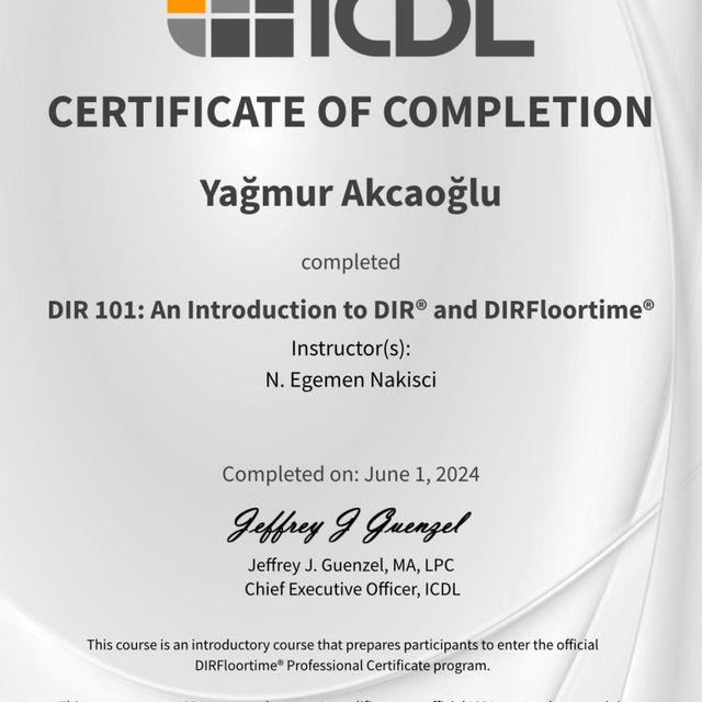 Resmi büyüt: certificate 2