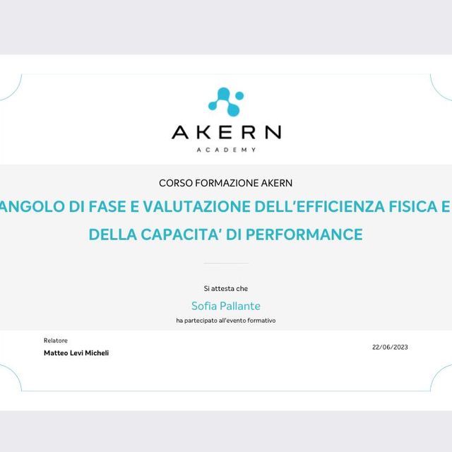 Ingrandire l'immagine: certificate 9