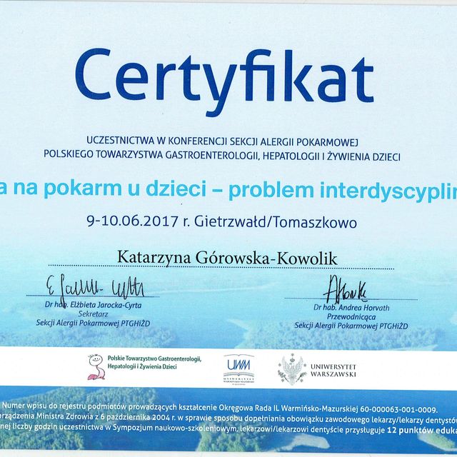 Powiększ obraz: certificate 2