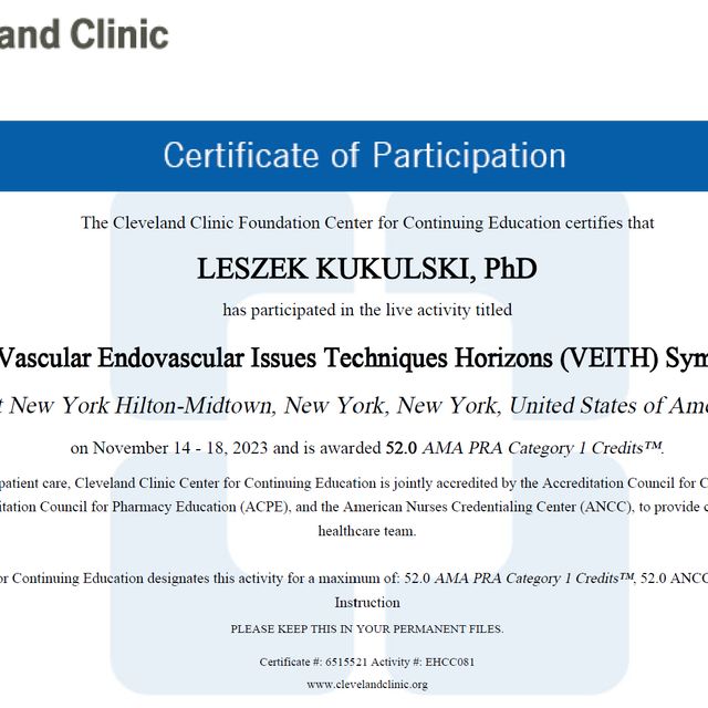 Powiększ obraz: certificate 2