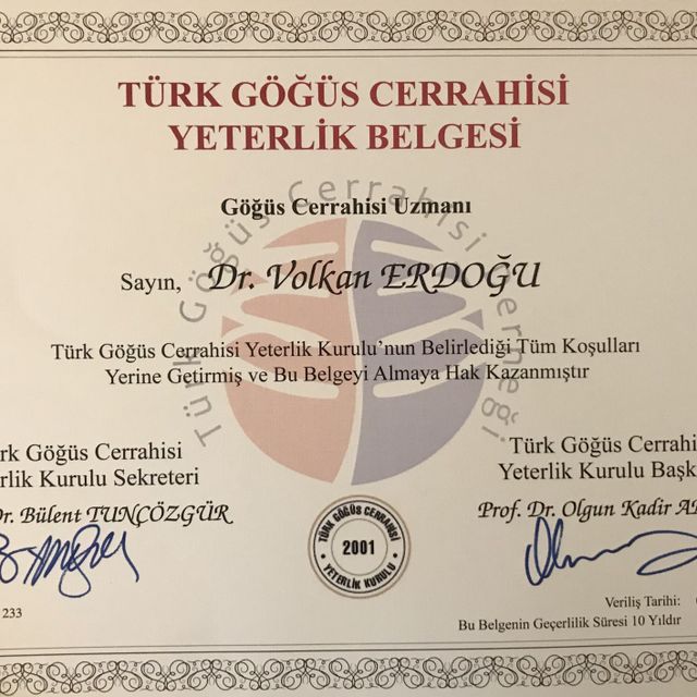 Resmi büyüt: certificate 3