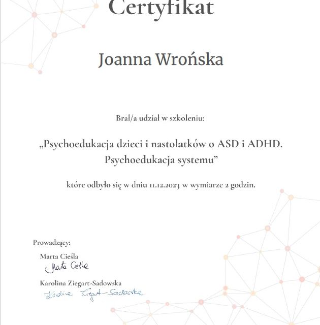 Powiększ obraz: certificate 2