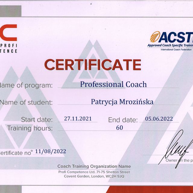 Powiększ obraz: certificate 1