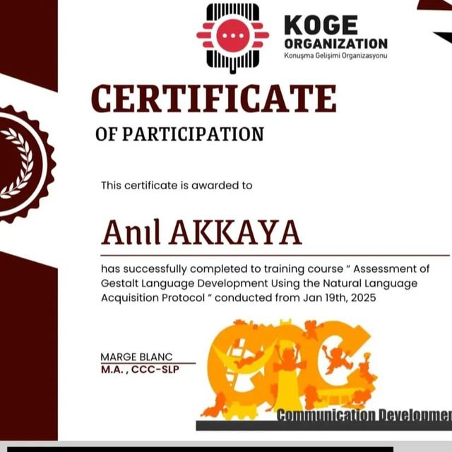 Resmi büyüt: certificate 2