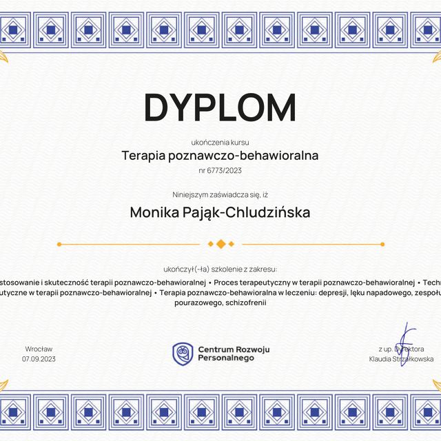 Powiększ obraz: certificate 3