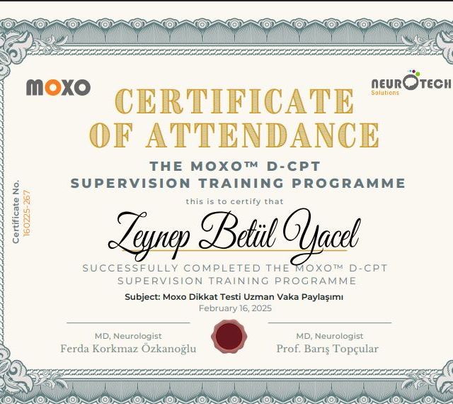 Resmi büyüt: certificate 2