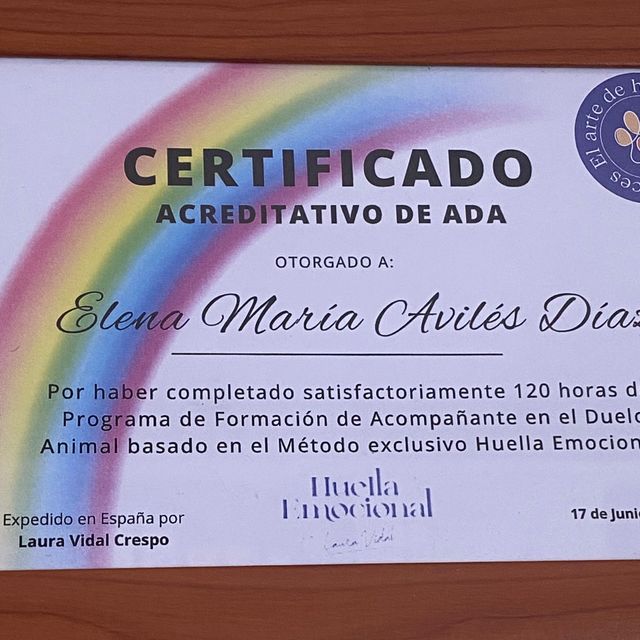 Acercar imagen: certificate 14