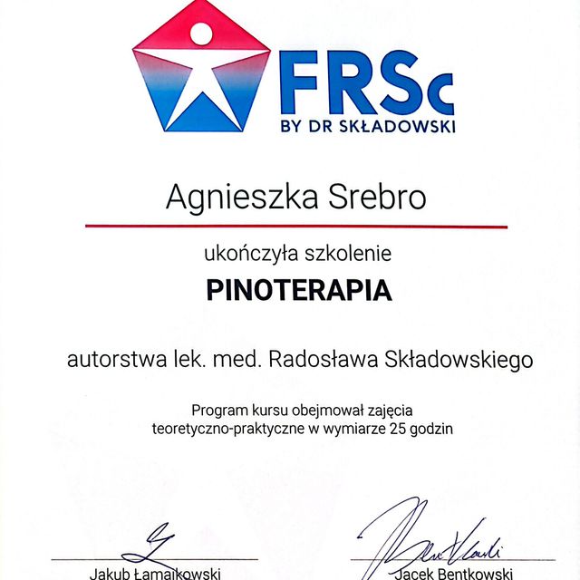 Powiększ obraz: certificate 4