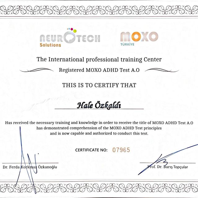 Resmi büyüt: certificate 2