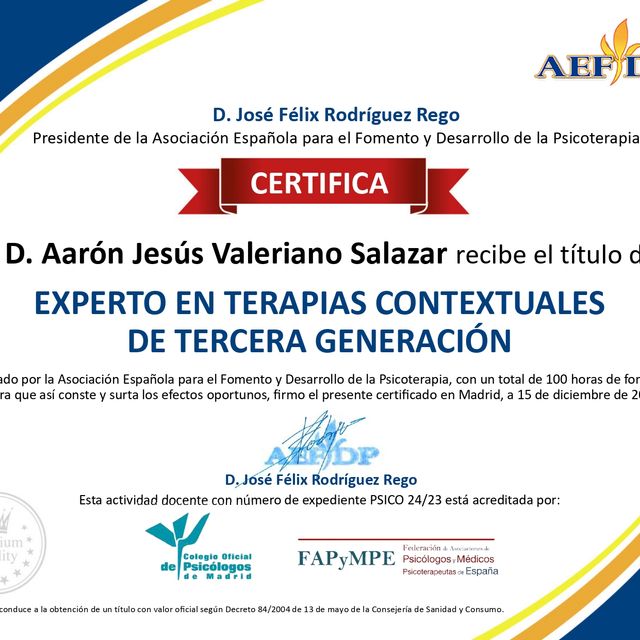Acercar imagen: certificate 5