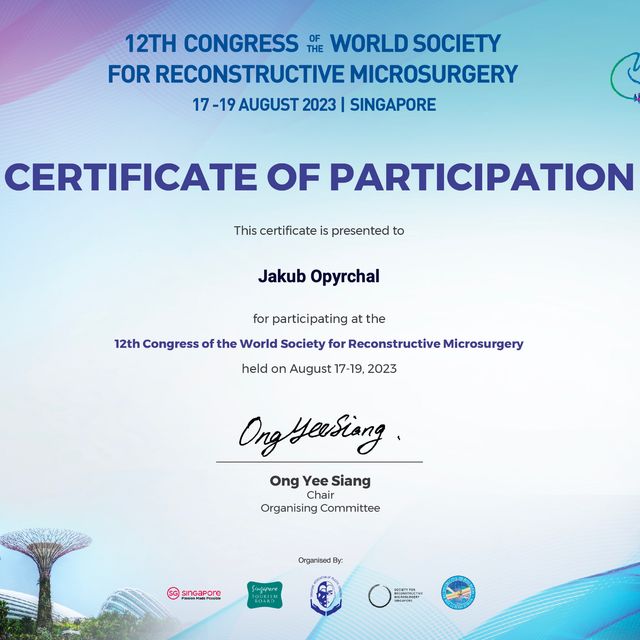 Powiększ obraz: certificate 1