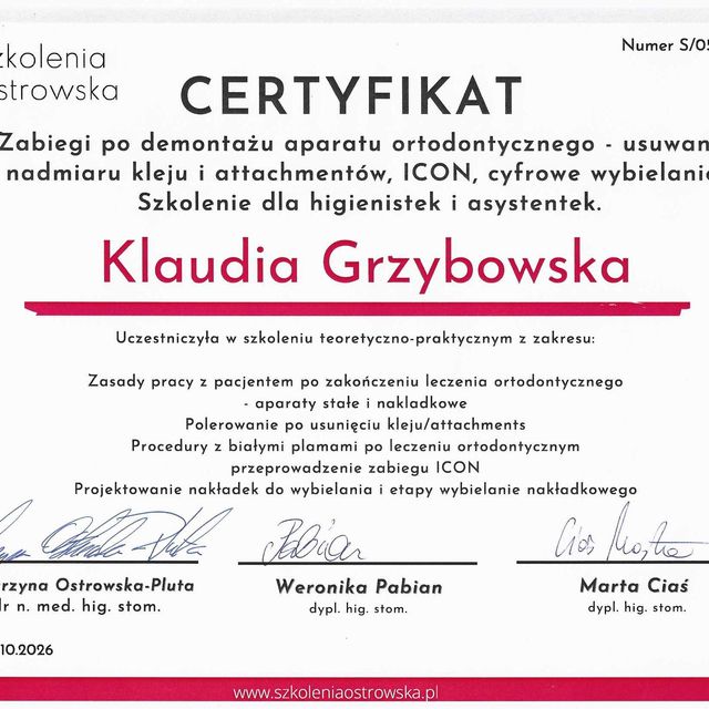 Powiększ obraz: certificate 1
