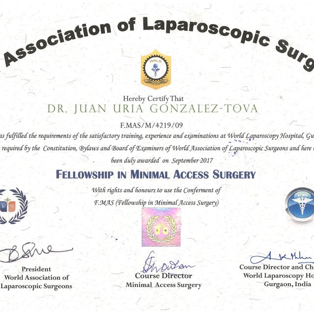 Acercar imagen: certificate 5