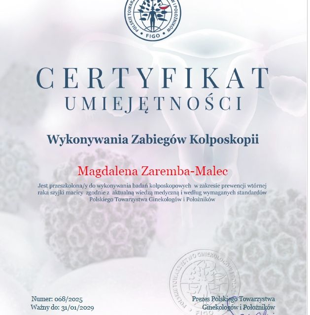 Powiększ obraz: certificate 1