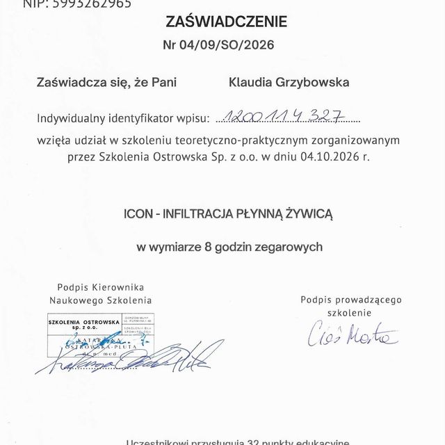 Powiększ obraz: certificate 2