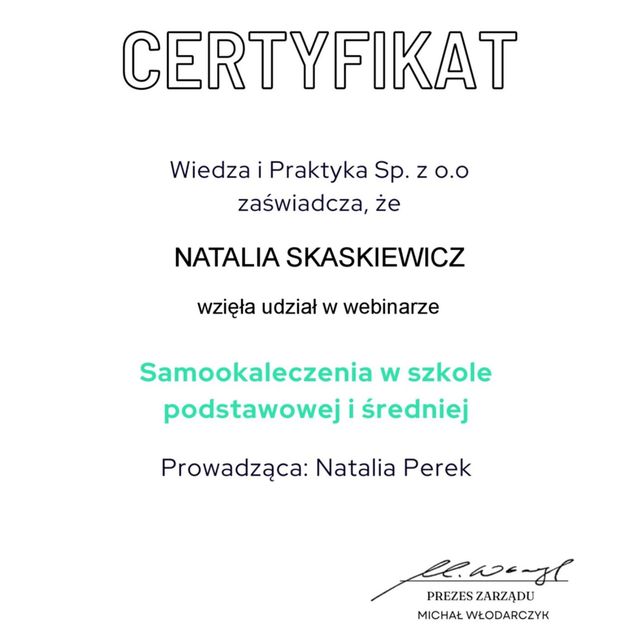 Powiększ obraz: certificate 1