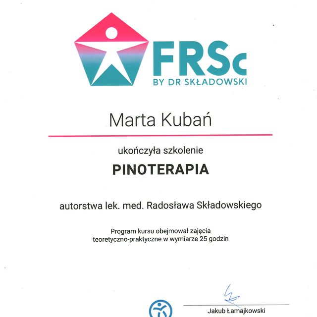 Powiększ obraz: certificate 2