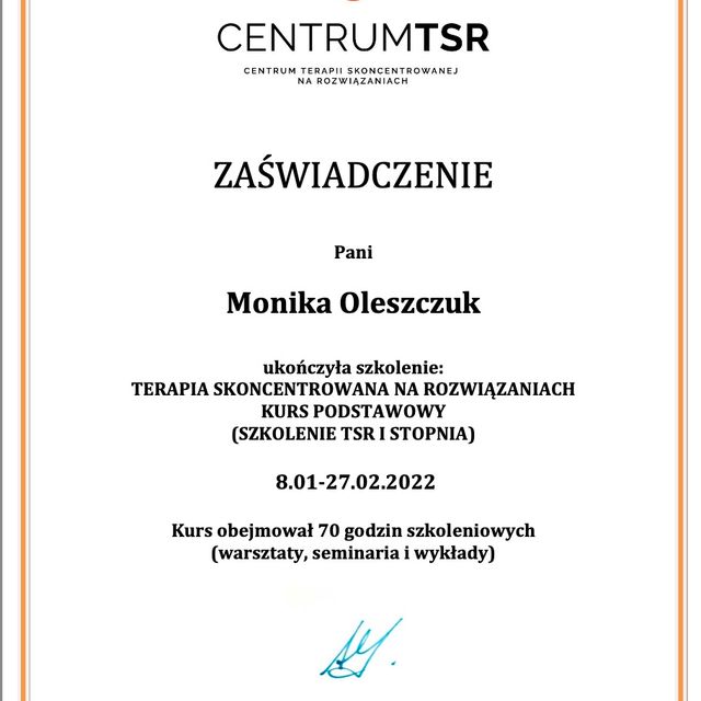 Powiększ obraz: certificate 3