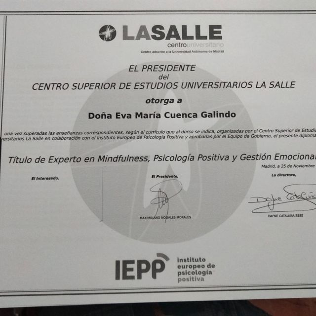 Acercar imagen: certificate 6