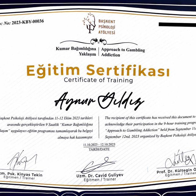 Resmi büyüt: certificate 38