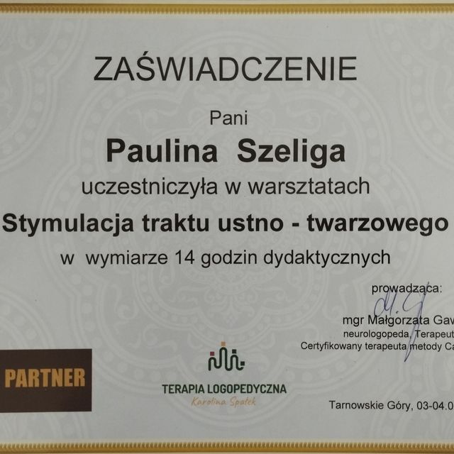 Powiększ obraz: certificate 2