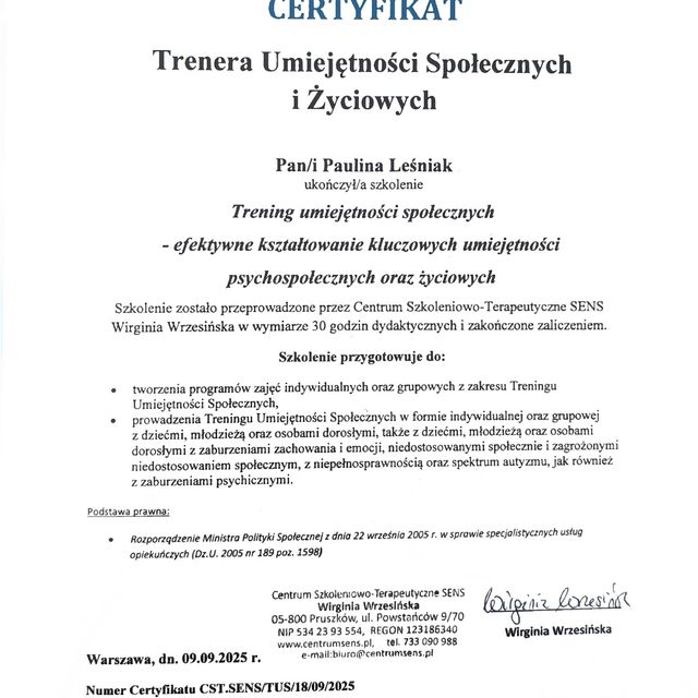 Powiększ obraz: certificate 3