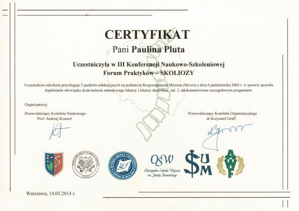 Powiększ obraz: certificate 9