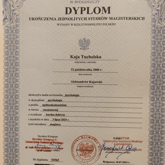 Powiększ obraz: certificate 1