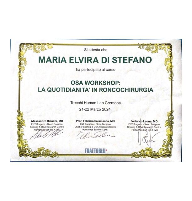 Ingrandire l'immagine: certificate 4