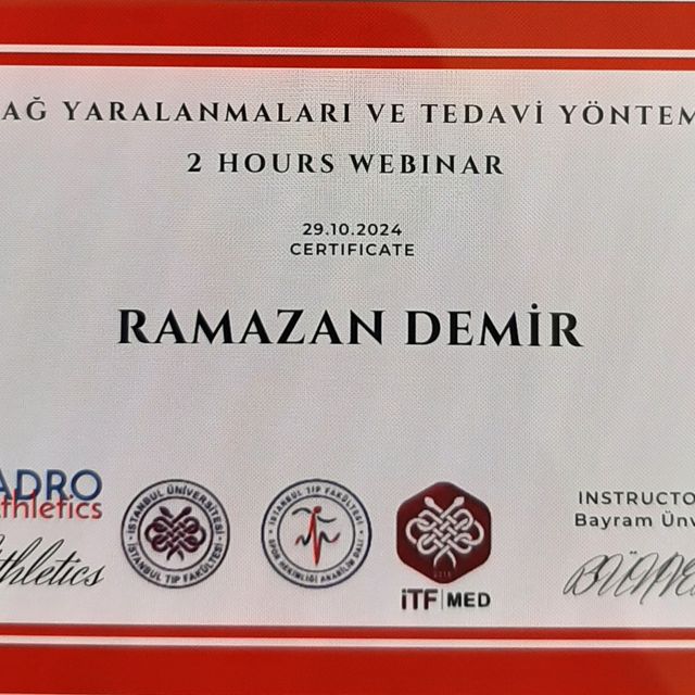 Resmi büyüt: certificate 35