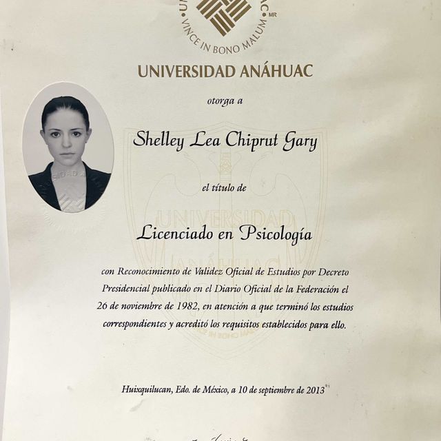 Acercar imagen: certificate 3