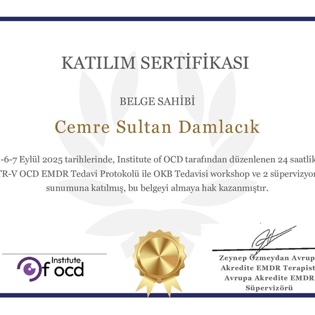 Resmi büyüt: certificate 2