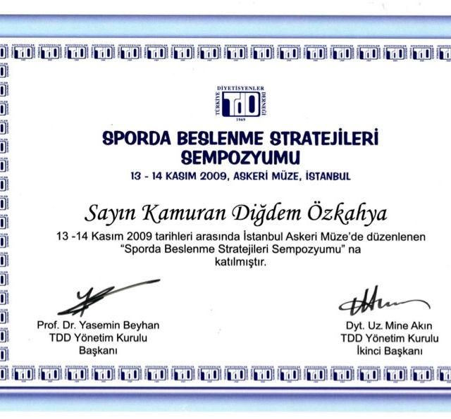 Resmi büyüt: certificate 2