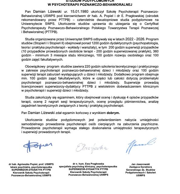 Powiększ obraz: certificate 11
